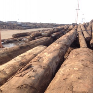 conew_conew_img_3094