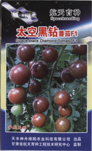廠家批發太空櫻桃番茄種子 水果型小番茄蔬菜種子（黑鑽石）