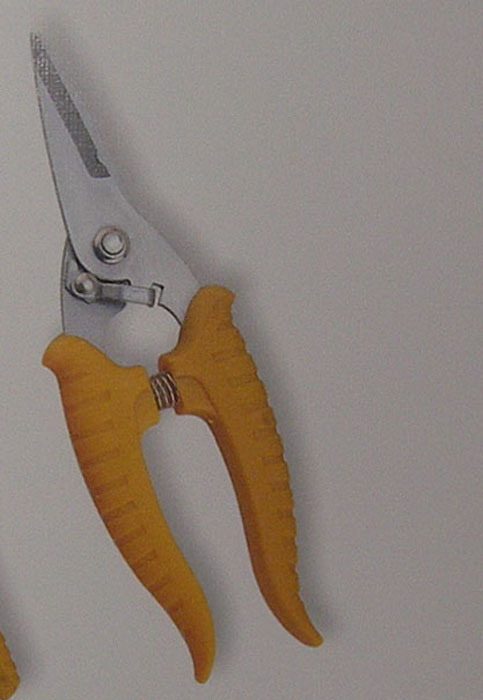 修枝剪，树枝剪，园林剪，花园剪HD-73