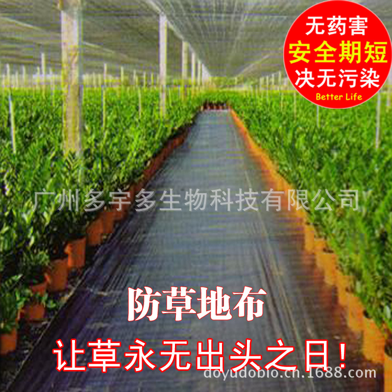 园艺地布 防草布 遮黑布 抑草席 除草布 出口品质 宽度4米