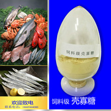 17���ϵꌣ�I���a��ϼ�������