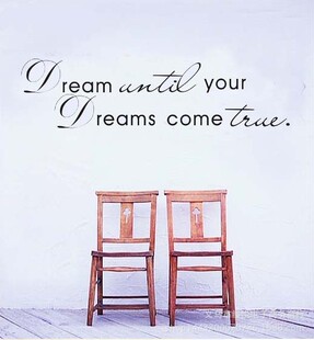 ZY8009���QDream����Ҿ����ҿ͏d���N����ˮ���Ƴ����N�N��