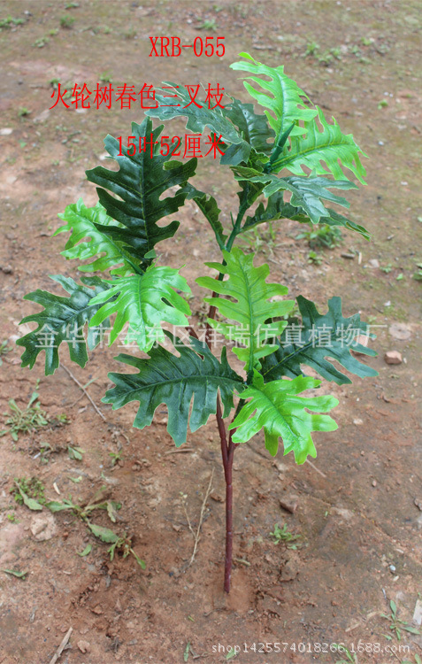 火轮树春色三叉枝15叶整