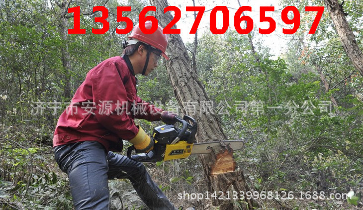 油锯 汽油锯  大马力油锯  5900油锯