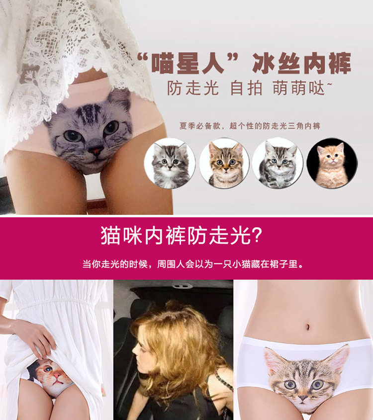 猫咪内裤_01