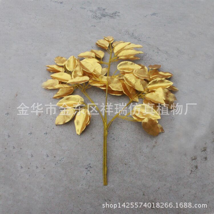 XRB-089金榕三叉枝37叶58cm