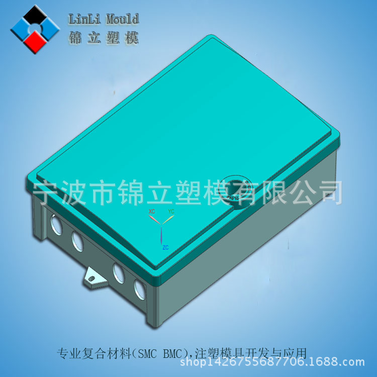 承接各类注塑电信接线盒模具开发及生产 注塑模具加工