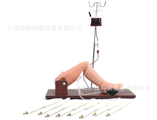 骨穿刺及股静脉模型