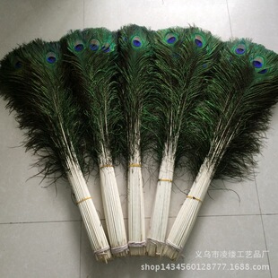 ��ȸë90-100cm�L��ȸβ  �廨ƿ��ȸ��ë�F؛