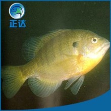 ���l�����|��Ŀ̫��~�絭ˮ�~�~���N��Ϳ��x�Bֳ���|���|�Bֳ