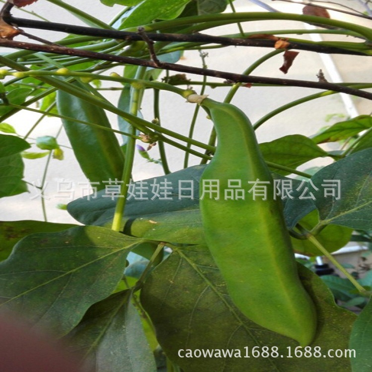 983bd4ea6ebaf7d3f566b99790d90f