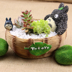 Hayao Miyazaki My Neighbor Totoro Cute Cartoon Totoro Doll Resin Succulent Mini Bath Pen Holder Storage Flower Pot Ornaments