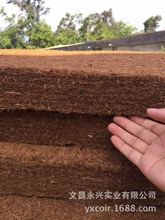 ����Ҭ���w�S�GɫҬ��ϵ�� �h���aƷ  Ҭ�؉| �냺���|Ҭ�� 5����