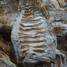 ��Դ���a��ֱ���������}�S��/ë��S/�r�Ҵ�K�S�� 1��