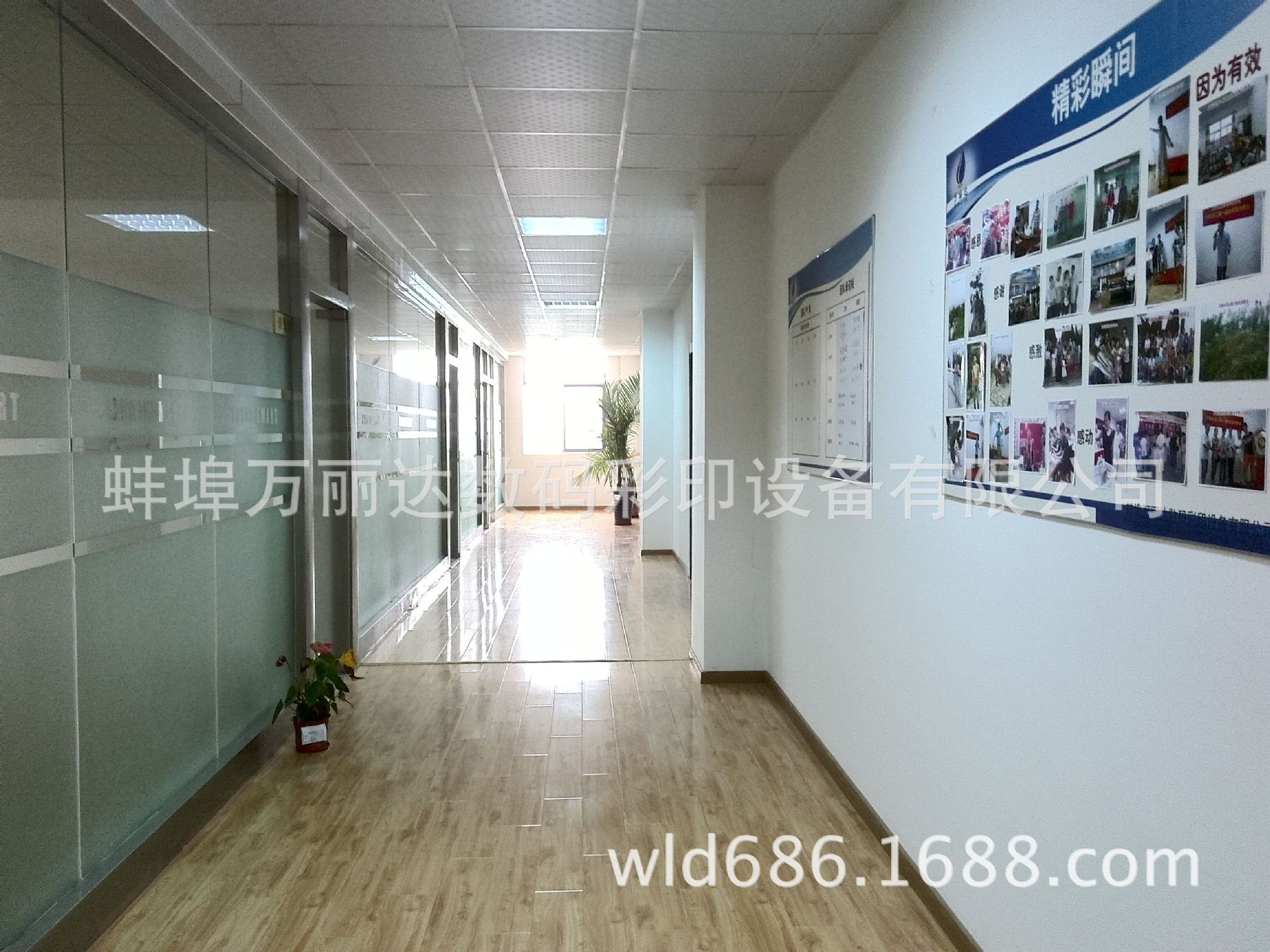 QQ圖片20150905141618