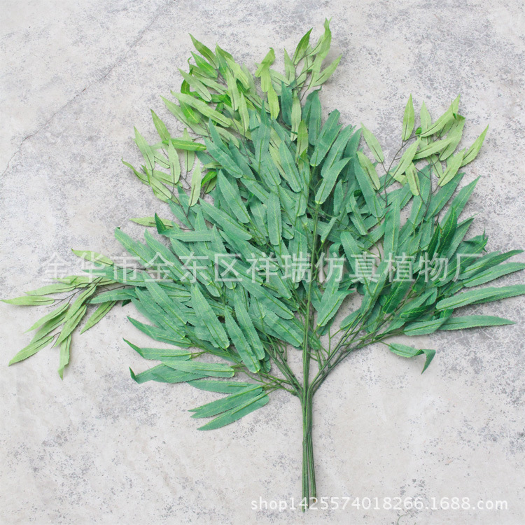 三叉枝柳叶整枝叶子背面