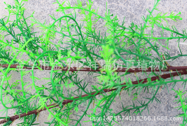 XRB-134骆驼刺叶2叉枝60叶春色2