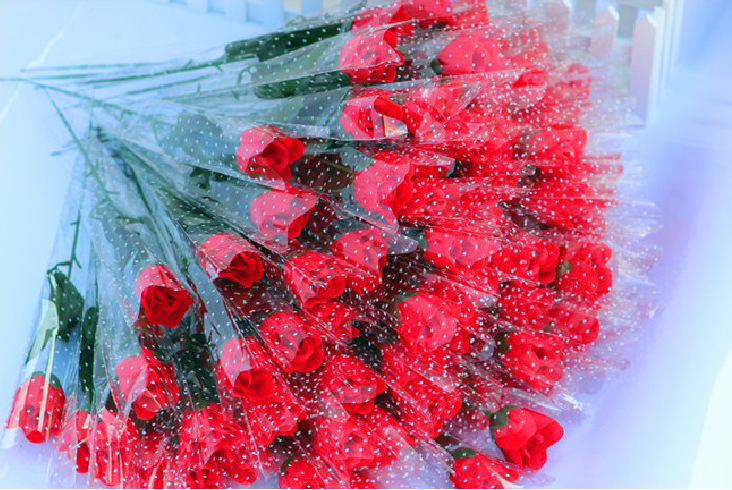 f799e6ae5d483233fe332666352fe8