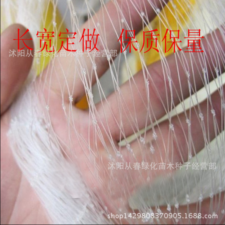 QQ截圖20150730155339