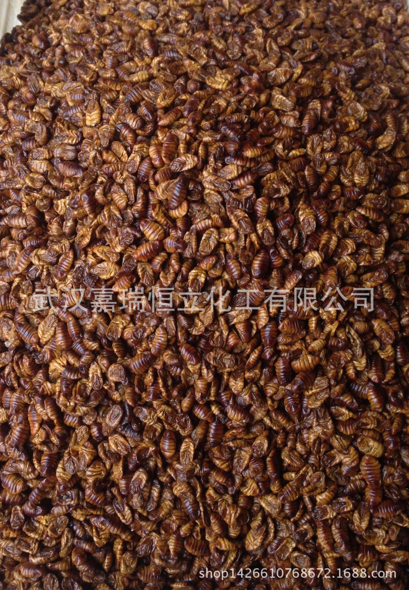 供应饲料蚕蛹、蚕蛹粉。小龙虾牛蛙甲鱼黄鳝螃蟹饲料原料