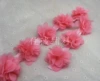 Watermelon red* diameter is about 8 cm