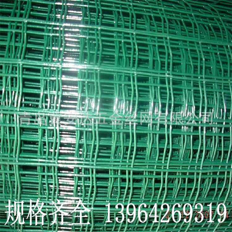 荷蘭網(wǎng)\浸塑pvc電焊網(wǎng)、包膠鐵絲網(wǎng)