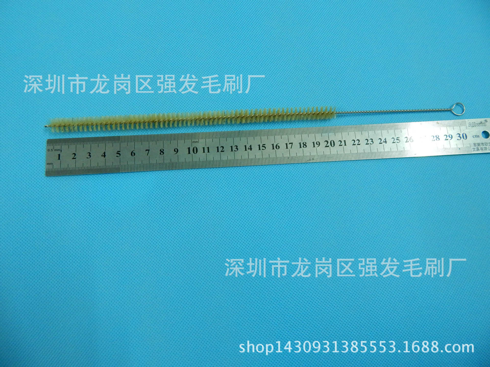 DSCN0034