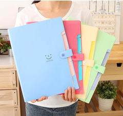 Love's Smile 5-fold folder plastic A4 file bag information folder test paper clip storage bag accordion bag wholesale