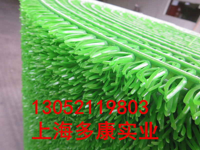 抓金草、收金草、沉金草、吸金草