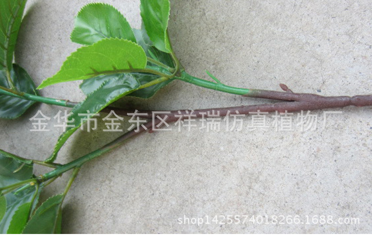 XRB-095梨叶三叉支27叶60CM枝