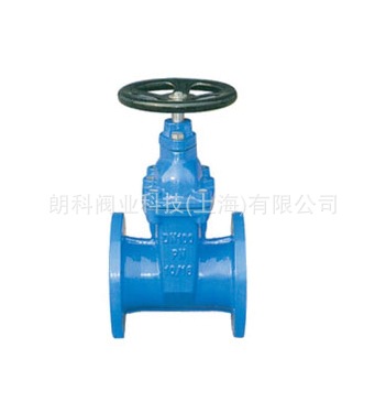 上海朗科阀业生产弹性座封闸阀 暗杆弹性座封闸阀RVHX(Z45X)