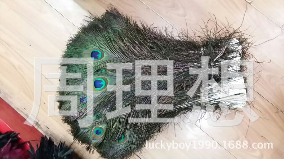 QQ图片20141107164921