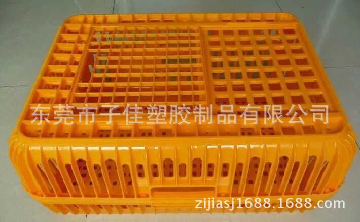 供应成鸡运输笼 鸡用周转箱 运输鸡笼 运输笼 鸡鸭鸽兔
