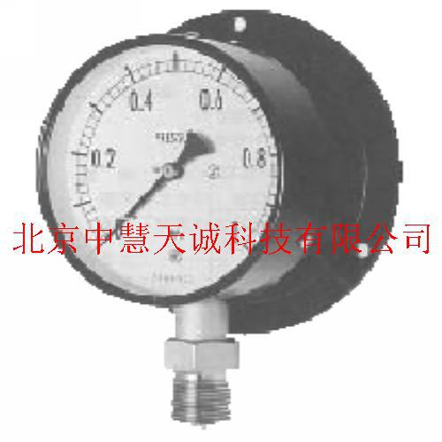 压力表/指针式压力表
