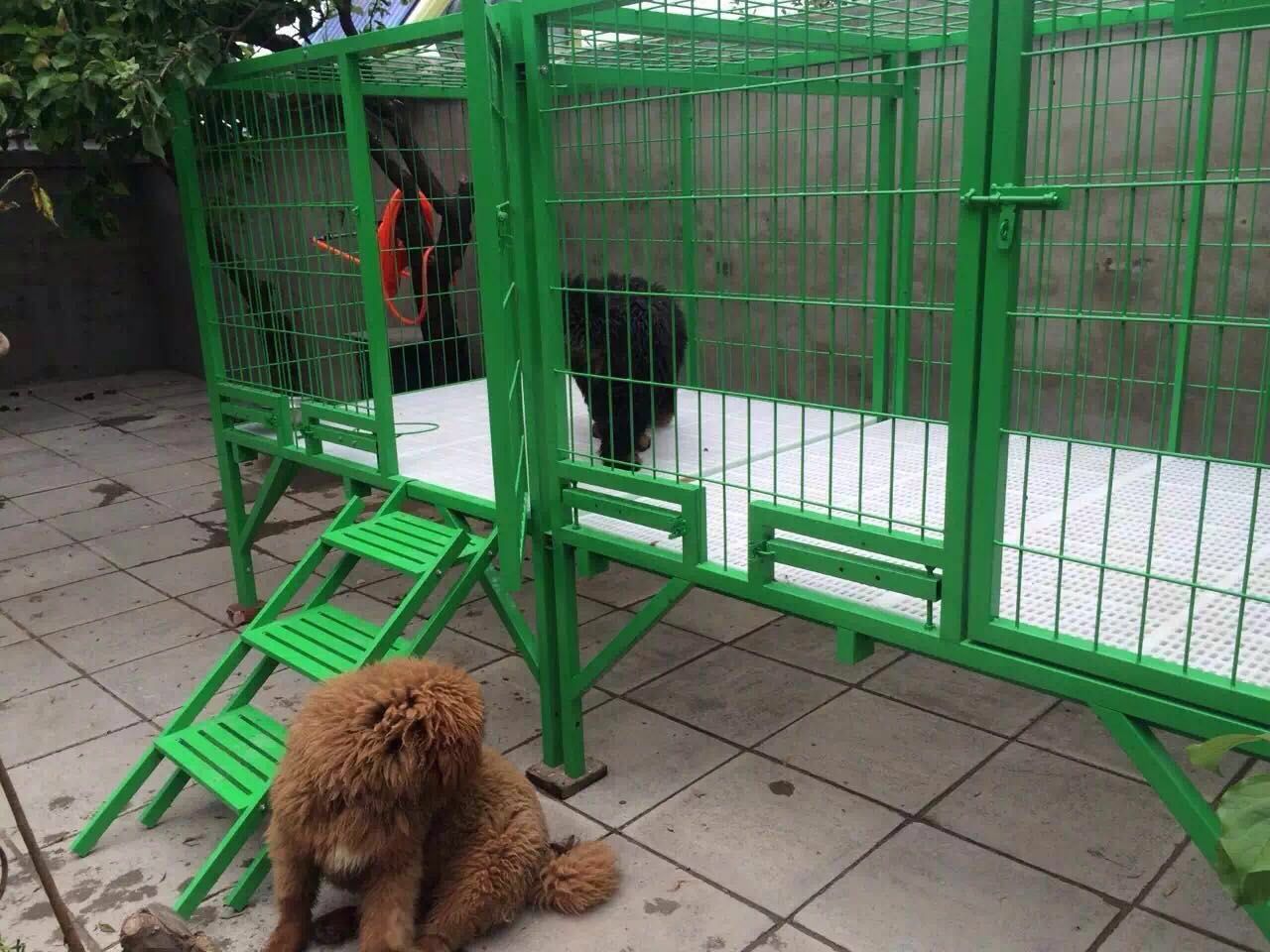 宠物笼具:呵护宝贝温馨小窝