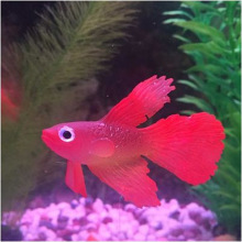 �~���쾰ˮ�����b����zܛ�wС���~�����~С���~ �~���b����P�~