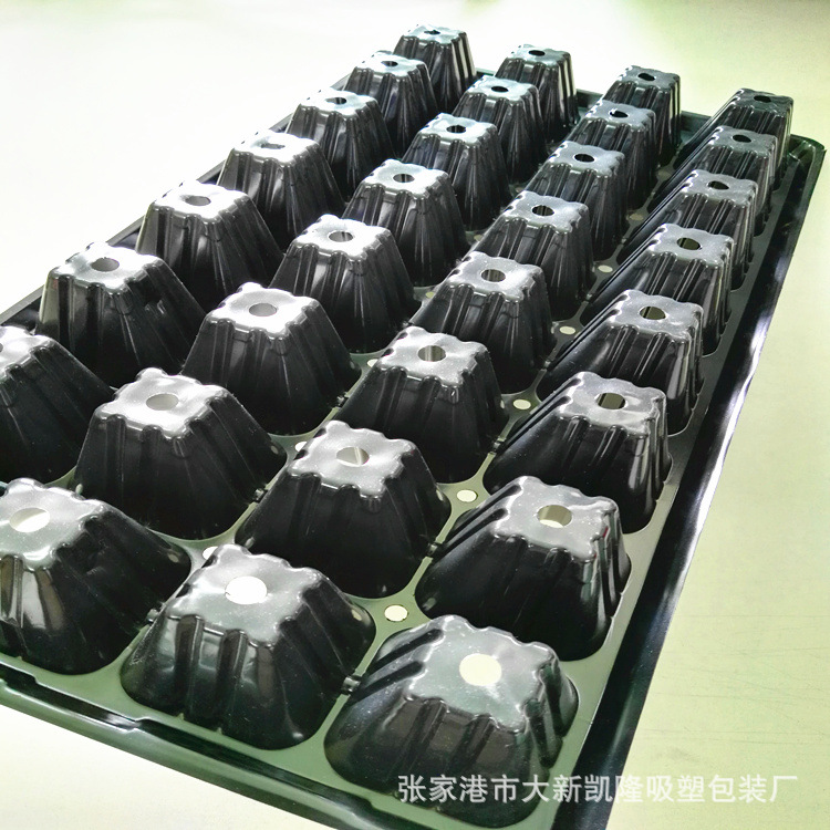 32穴育苗穴盘1