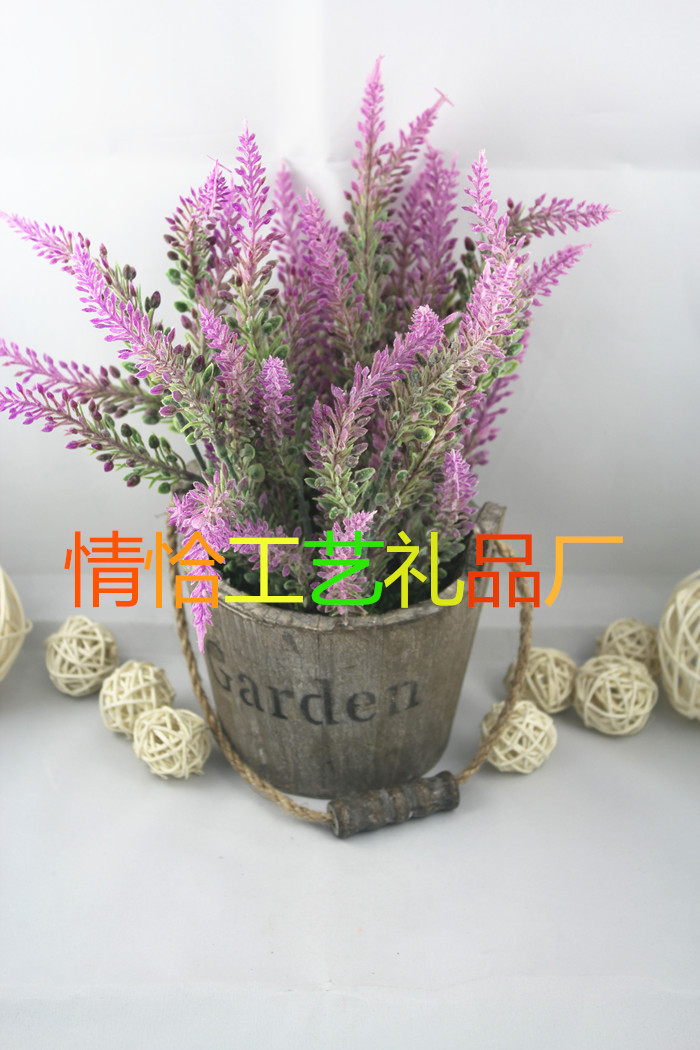 木桶直毛薰衣草 (4)_副本_副本