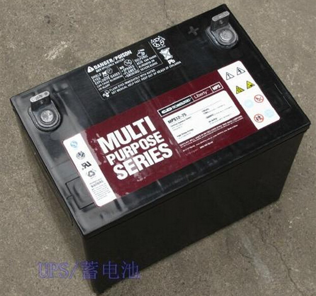 大力神蓄电池12V7H