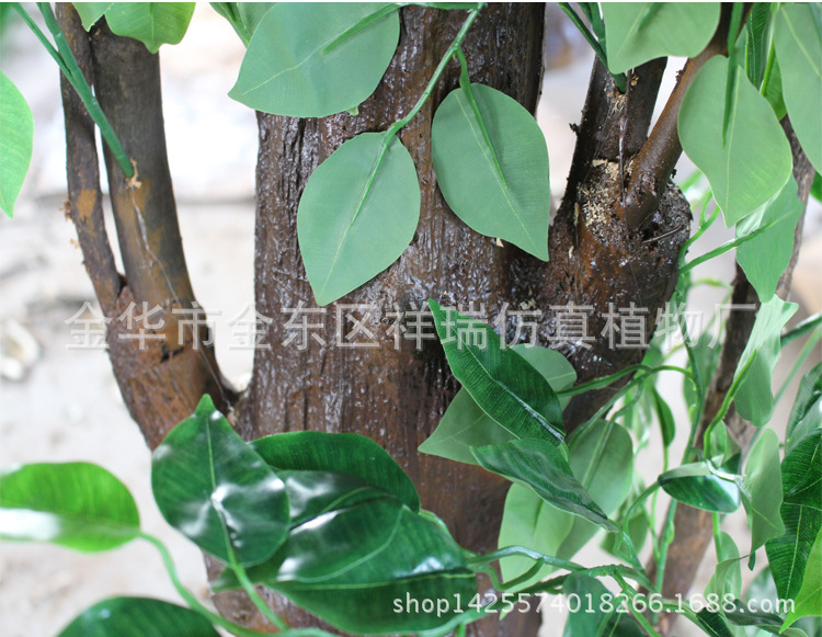 XRS-108特形绿榕树5040叶270厘米5