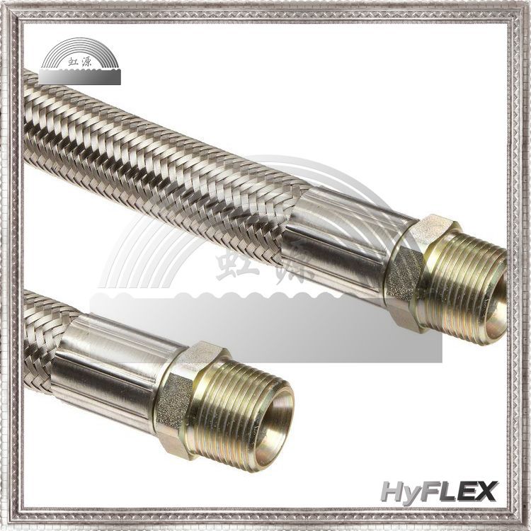金属软管 304 316L不锈钢波纹软管 外丝螺纹接头 软连接 软接头