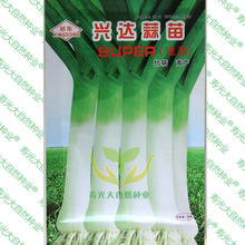 蒜苗价格_今日最新蒜苗价格行情走势