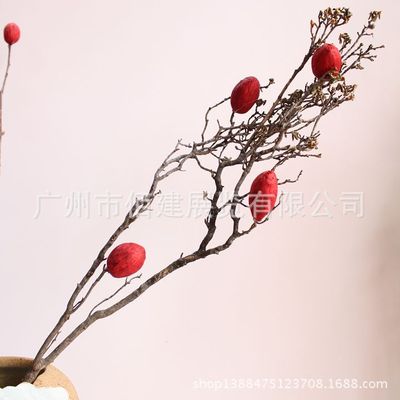 天然古树红龙果枝 会所摆设软装饰品植物干枝 样版房批发