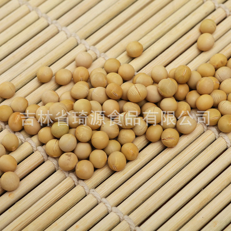 Roasted Soybeans Northeast China Specialty Ready to Eat Soybean Snack Bulk Wholesale specifications