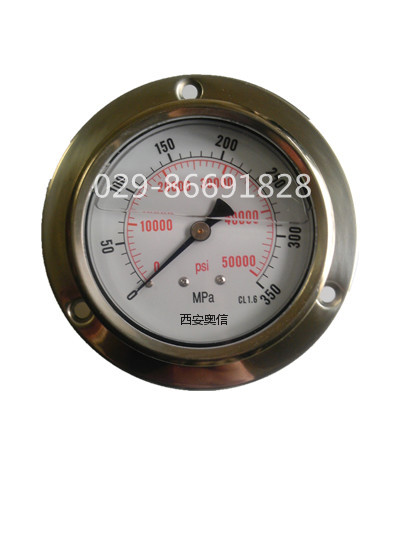 超高压压力表,AXCG-100BFG,AXCG-100BFN,AXCG-100BFM,350Mpa