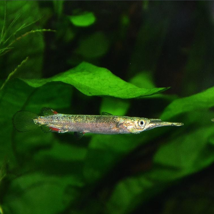 QQ图片20150613110250