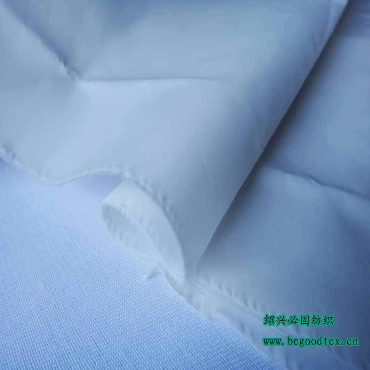 BG-DTF-104(中文0）