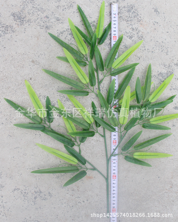 XRB-111富贵竹叶3叉枝52叶62厘米高