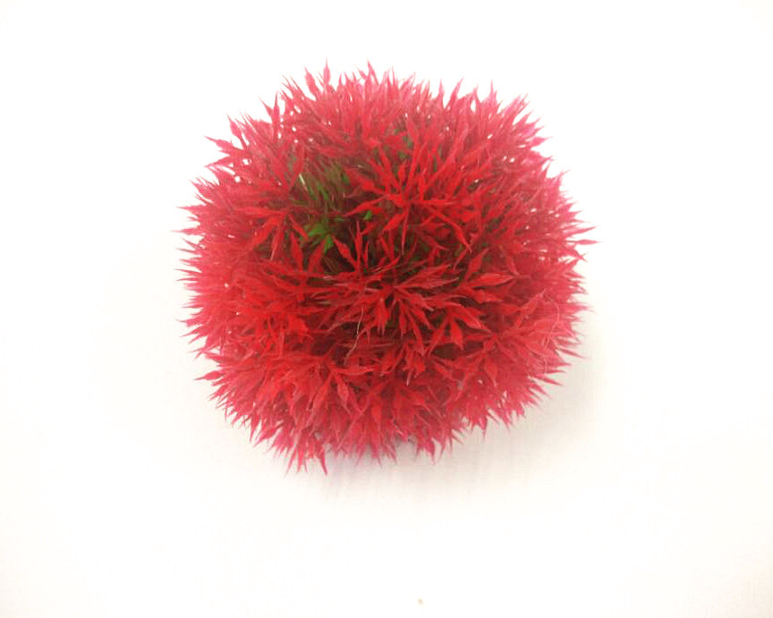 QQ图片20150722131315