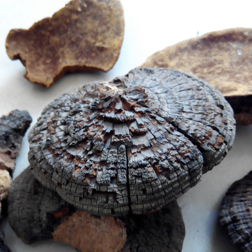 IMG_20151125_123505_副本